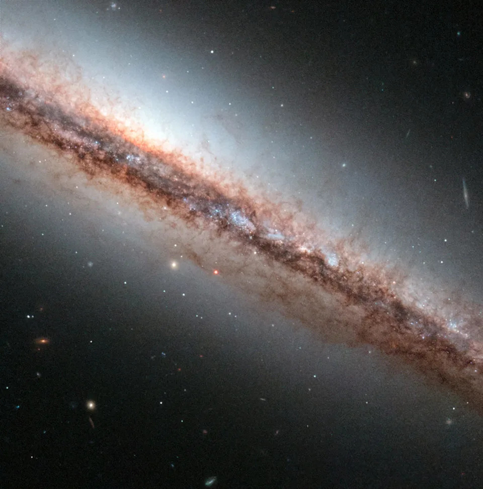 A side view of galaxy NGC 4217 taken by the Hubble Space Telescope.