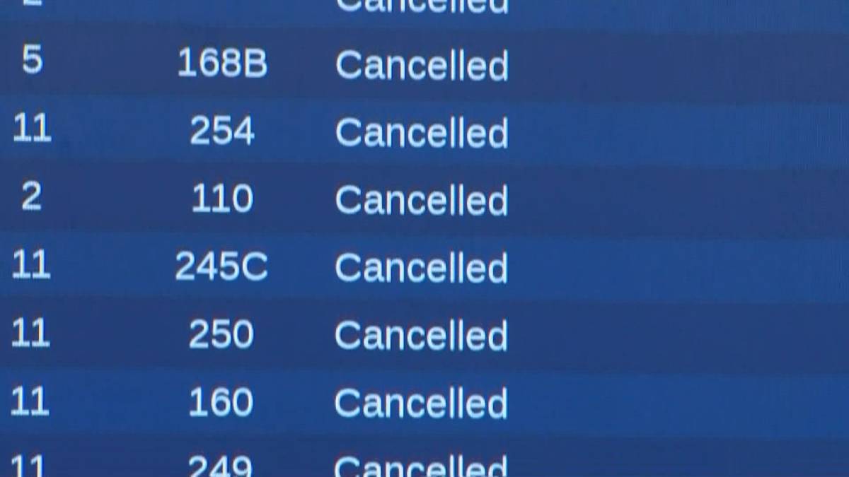 Click to play video: 'Snow clearing efforts continue at Toronto Pearson Airport, delays expected'
