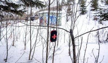 Opioid deaths have declined sharply in Canada. These five factors help explain why