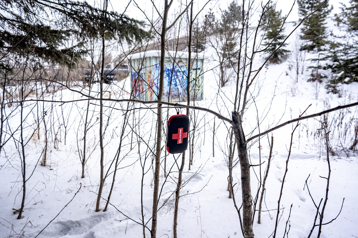 Opioid deaths have declined sharply in Canada. These five factors help explain why