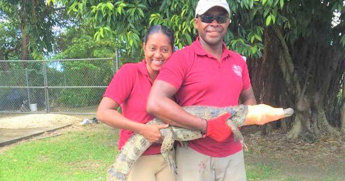 El Socorro Centre to release largest group of animals into the wild | News Extra