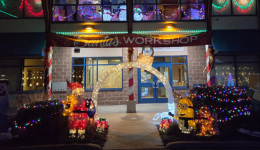 NONA Lights for Kids raised over $50K