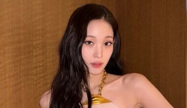 South Korea’s second-richest man’s niece defies family to become K-pop idol, now returns to US to complete Columbia studies