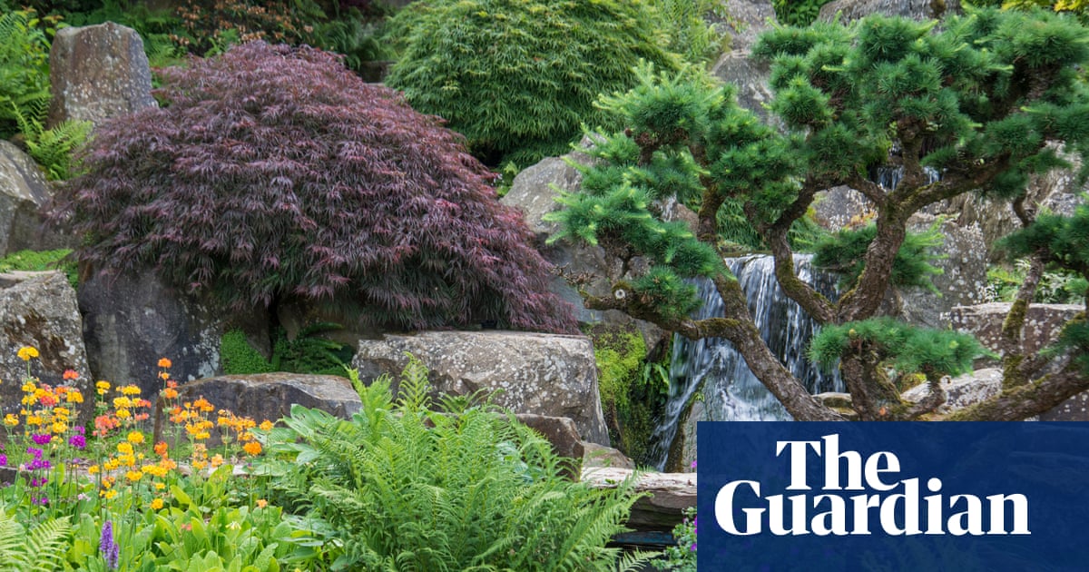 RHS unveils plans to protect UK gardens from future water shortages | Water