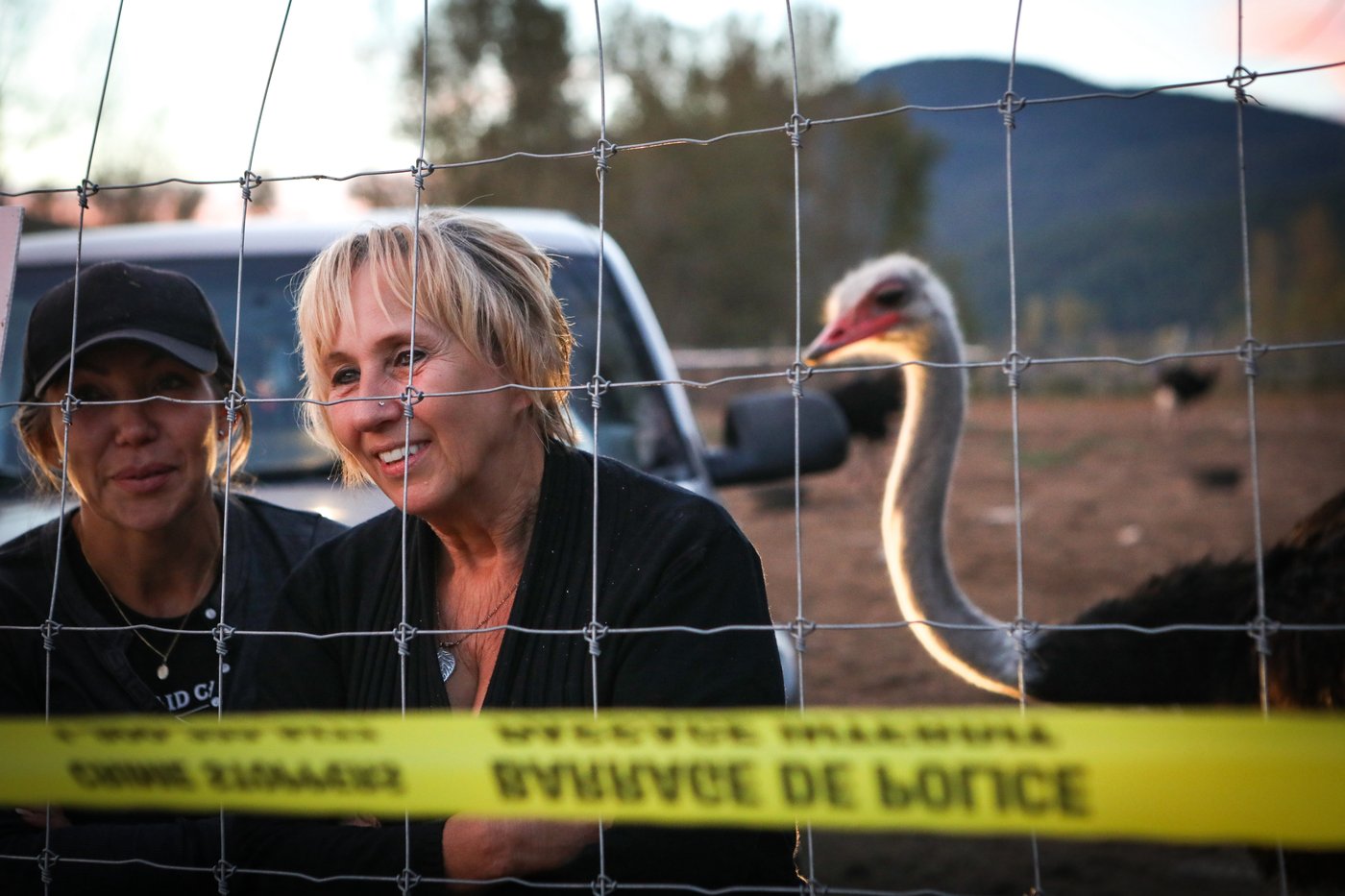 Tribunal upholds $10K fine for B.C. ostrich farm over failure to report sick birds