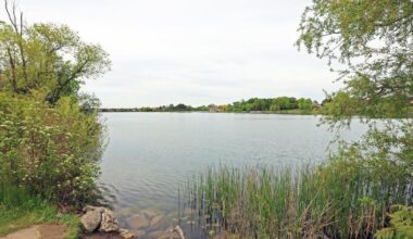 Bird flu suspected after multiple dead waterfowl found at two Brampton lakes - Brampton Guardian