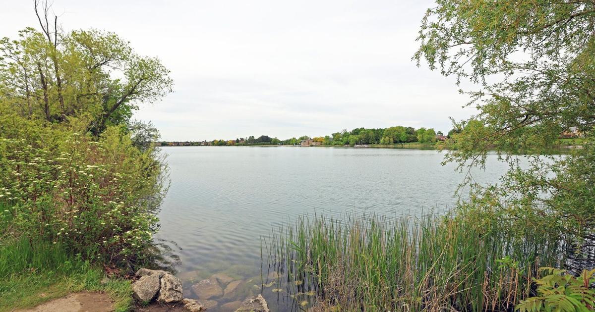 Bird flu suspected after multiple dead waterfowl found at two Brampton lakes - Brampton Guardian