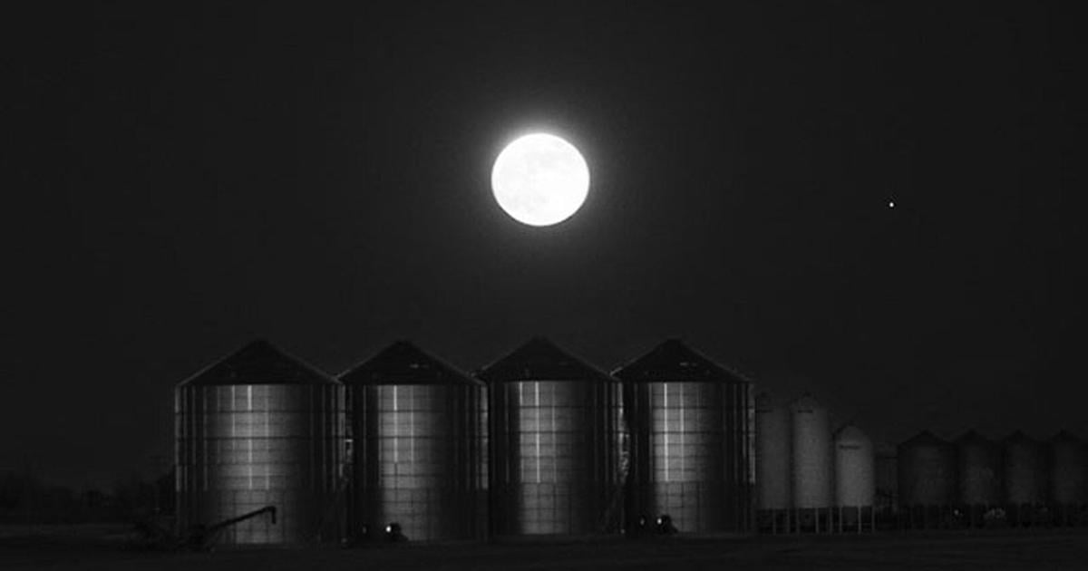 Wolf Moon lights up sky - The Spec