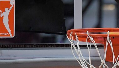 WNBA, players' union agree to moratorium, halting initial stages of free agency | Professional