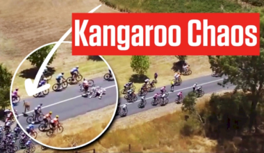 How Jay Vine Survived A Kangaroo Crash