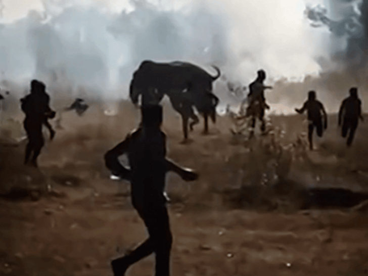 011926_killer_elephant_kick_primary_v2