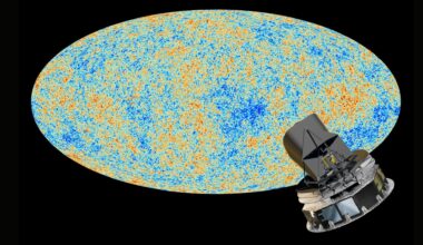 Image of a horizontal oval with many orange and blue dots scattered throughout.