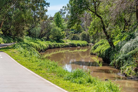 Trail tranquillity in Merri Creek.
