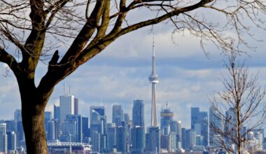 One ETF category 'exploded' in popularity in 2025, and one fund topped them all