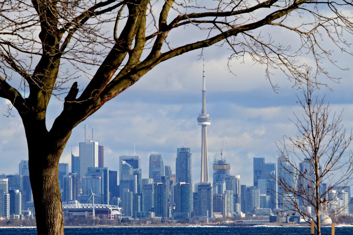 One ETF category 'exploded' in popularity in 2025, and one fund topped them all