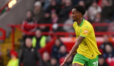 Ali Ahmed contributes in Norwich City debut