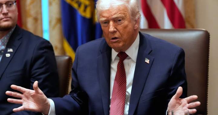 Trump delays increased tariffs on furniture, kitchen cabinets for a year - National