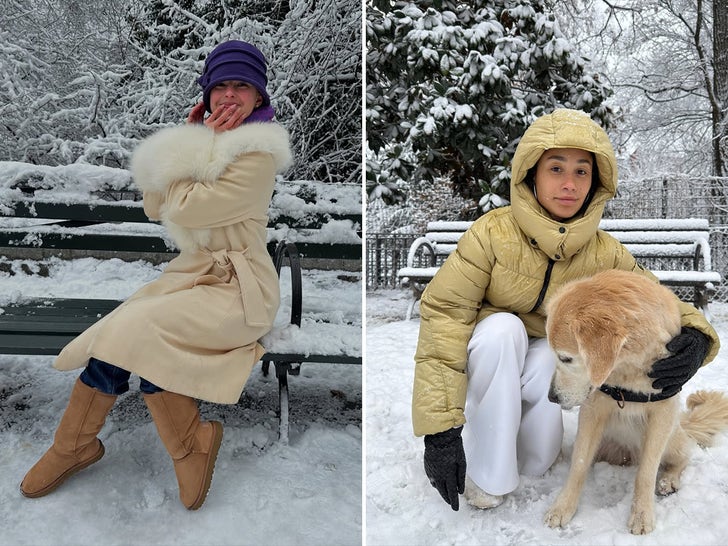 Stars In Snow ... Brrr It's Cold Out Here!