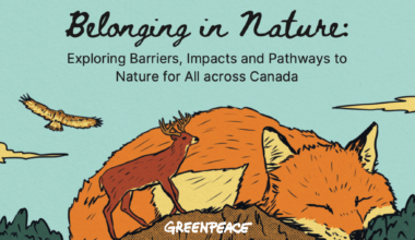 Beyond Parks: New Greenpeace Canada Report Calls to Bridge the Equity Gap in Nature as Canada Misses its 2025 Biodiversity Targets