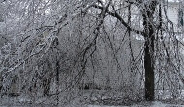 (David Lombardo/Wikipedia)