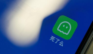 Aimed at the growing number of young Chinese who live alone, a new app asks: ‘Are you dead?'