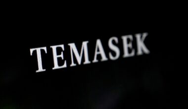 Singapore govt defends investment funds GIC, Temasek performance
