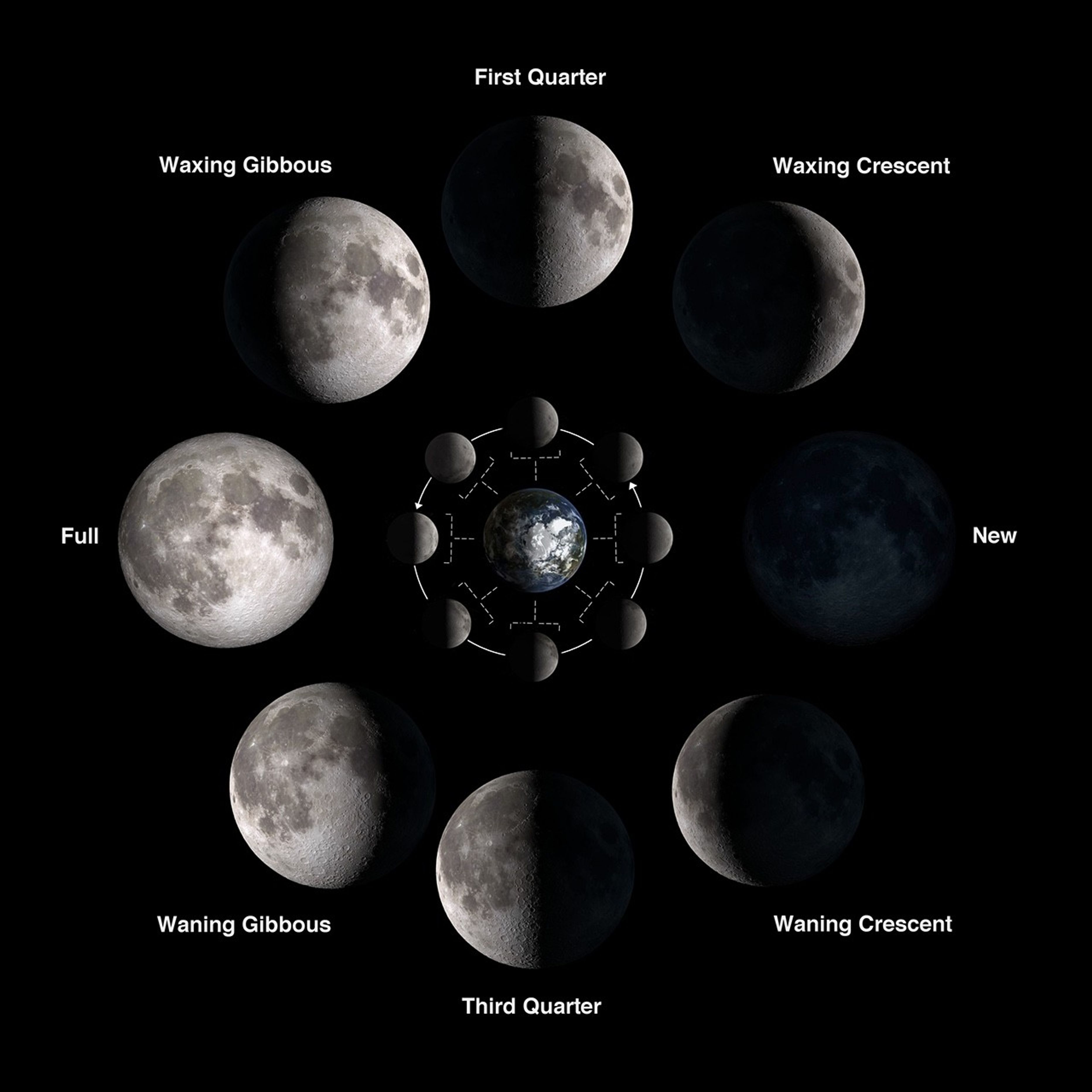 Diagram showing a composition of images of each phase of the moon arranged in a circle. Starting on the left and moving clockwise, the images are labeled full, waxing gibbous, first quarter, waxing crescent, new, waning crescent, third quarter, and waxing gibbous.