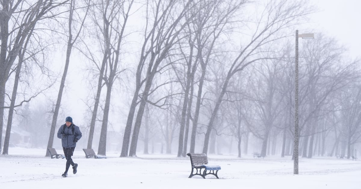 Weather alerts in nearly every province and territory on first day of 2026 - CTV News