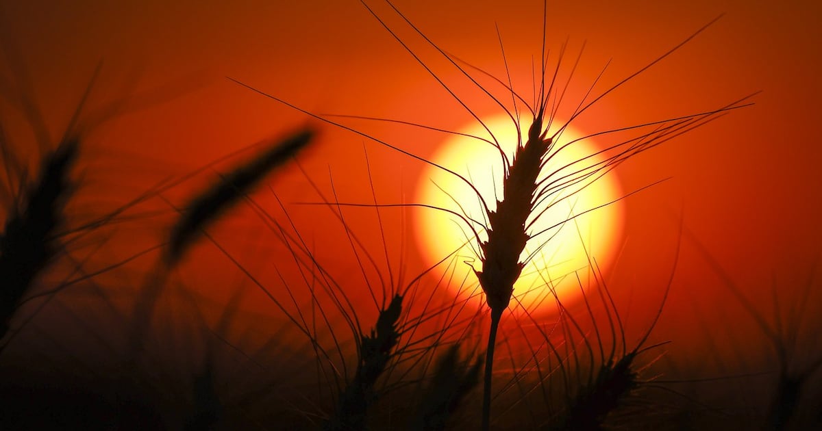 2026 could be Canada's hottest recorded year: scientists