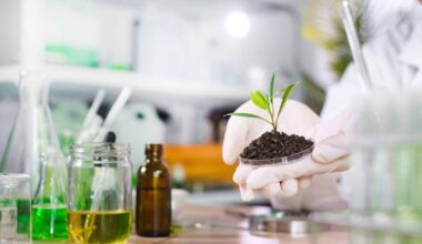 Plant Laboratory concept. Biologist hand with protective gloves holding petri dish with soil and young plant. Biotechnology, plant care and protection