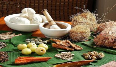 Ayush - Formulation for Ayurvedic Medicine