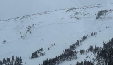 Snowmobiler dies in avalanche in Rocky Mountains in northeastern B.C.