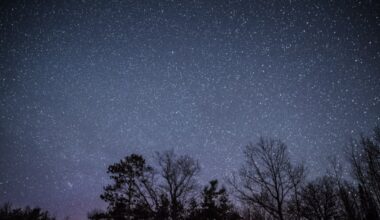 Dalhousie prof helps find galaxy cluster with hot gas 1.4 billion years after Big Bang - CTV News