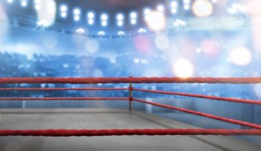 Boxing Finals to be Live Streamed on TG4