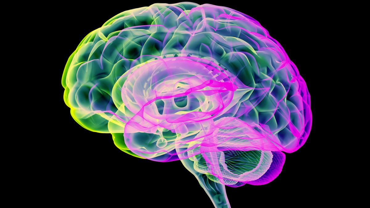 Carbon Dioxide 'Pulses' Clears Toxins From Parkinson's Brains in Recent Study : ScienceAlert