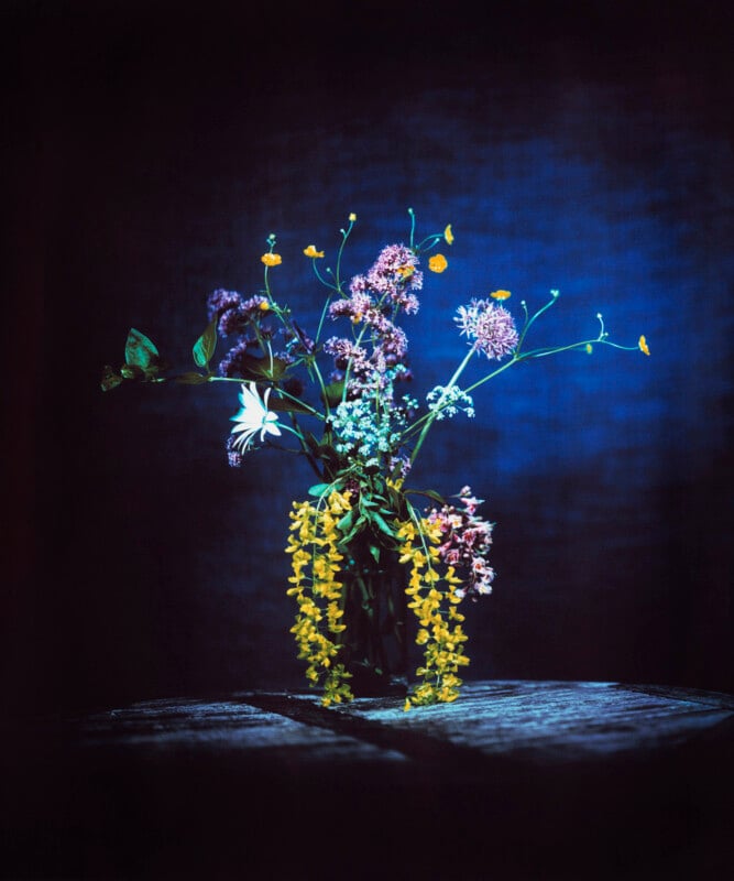 A bouquet of wildflowers, including yellow, white, and purple blooms, arranged in a glass vase on a stone surface, set against a dark blue textured background with dramatic lighting.
