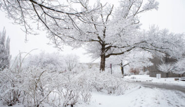 McMaster will be closed on Jan. 15 due to heavy snowfall