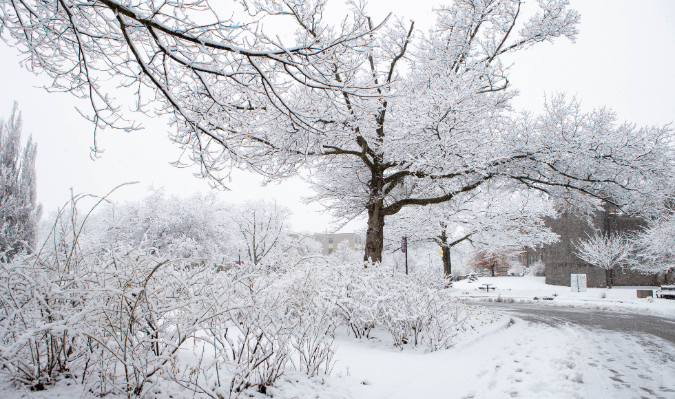 McMaster will be closed on Jan. 15 due to heavy snowfall