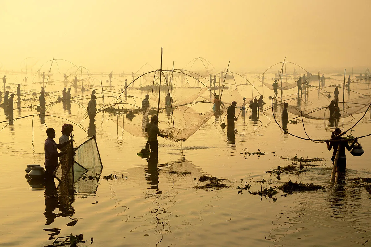 Fishers stand in water with nets at dawn.