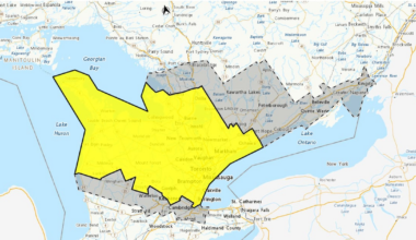 Snowfall warning in effect as school bus delays reported
