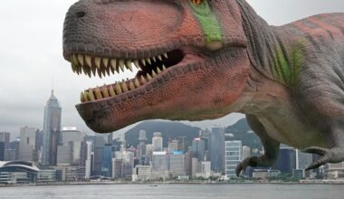 T. rex didn't reach full size until age 40: new research