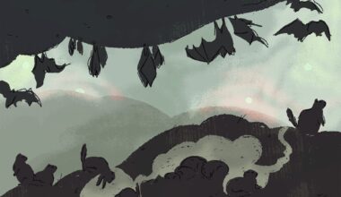 What the sleeping beauties of the animal kingdom teach us about life and memory