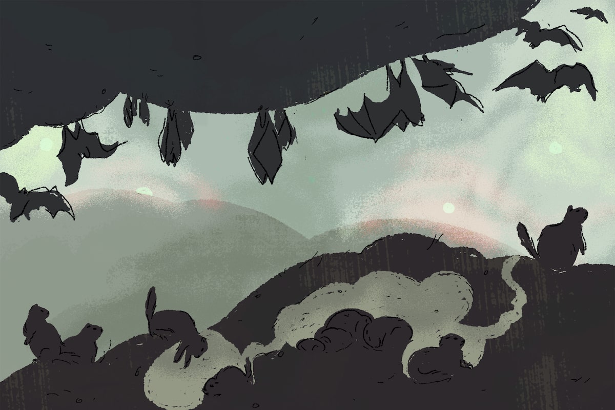 What the sleeping beauties of the animal kingdom teach us about life and memory