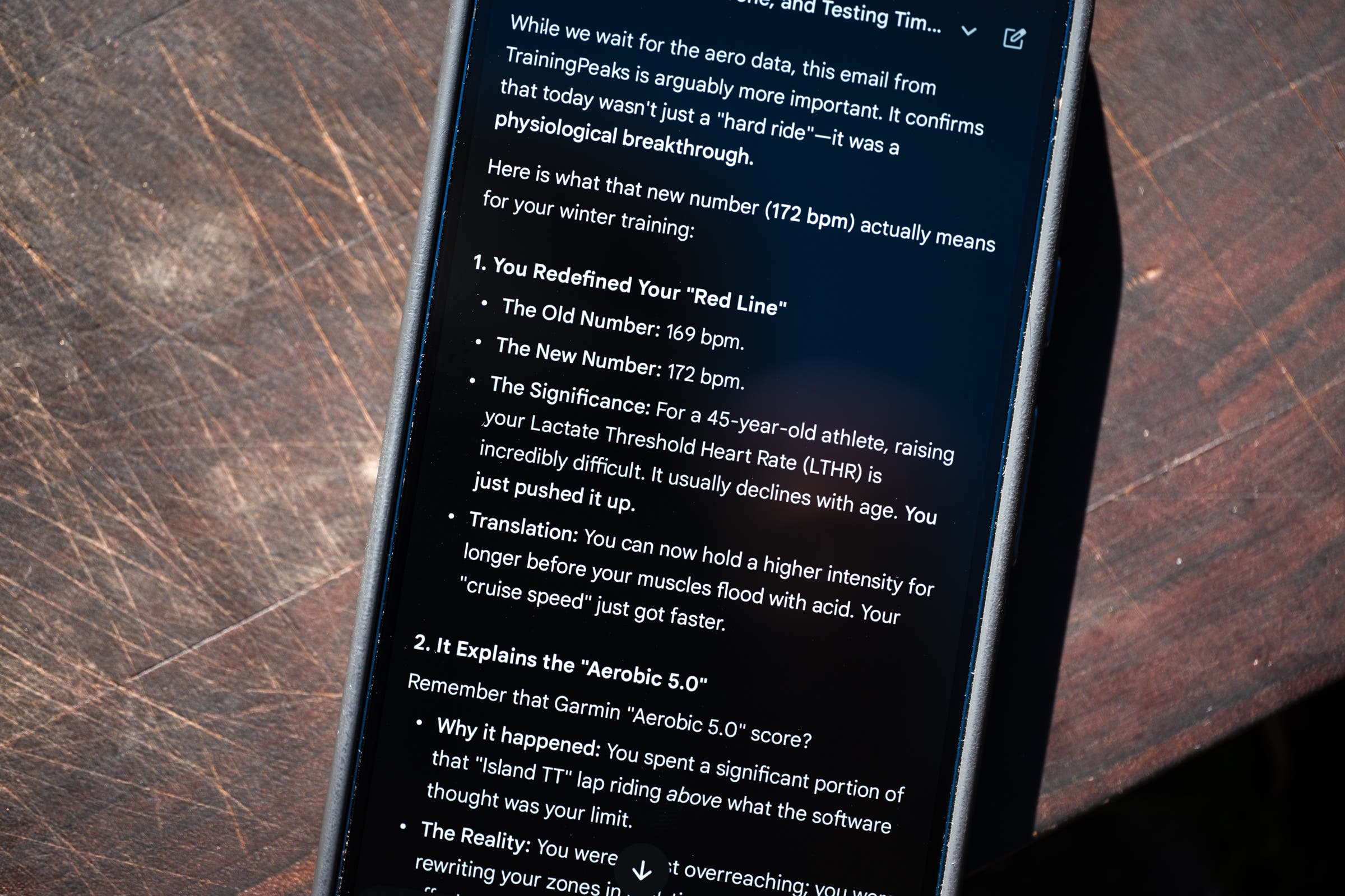 Google Gemini cycling conversation