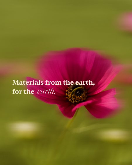 branding for fashion brand Walking Protest