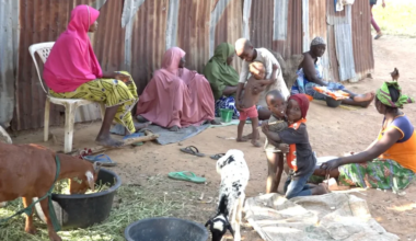 Sick, stranded, and overlooked... life inside Abuja’s forgotten leprosy settlement