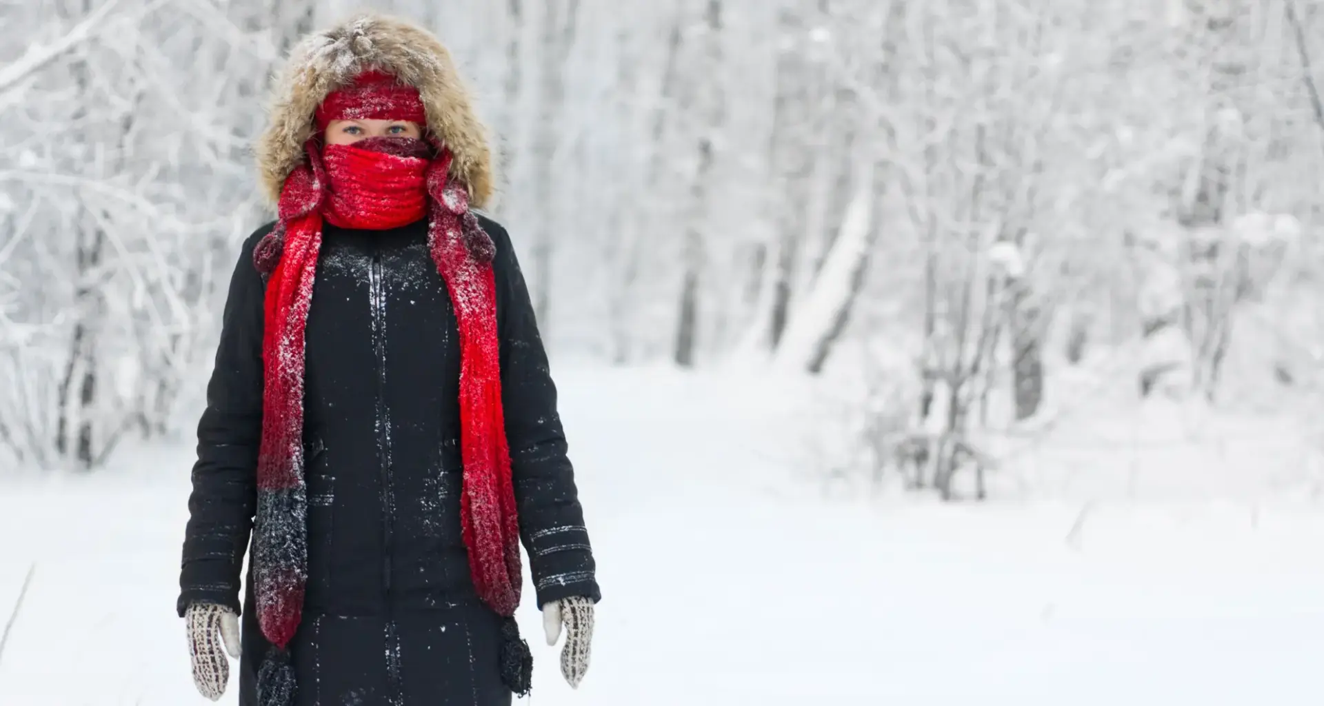 Extreme cold warning in Toronto: What to know about frostbite and hypothermia risks