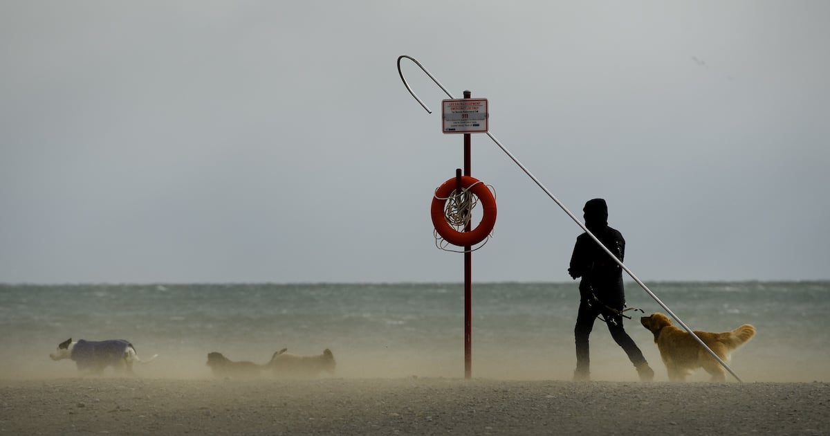 Strong winds, mild weather expected in Toronto