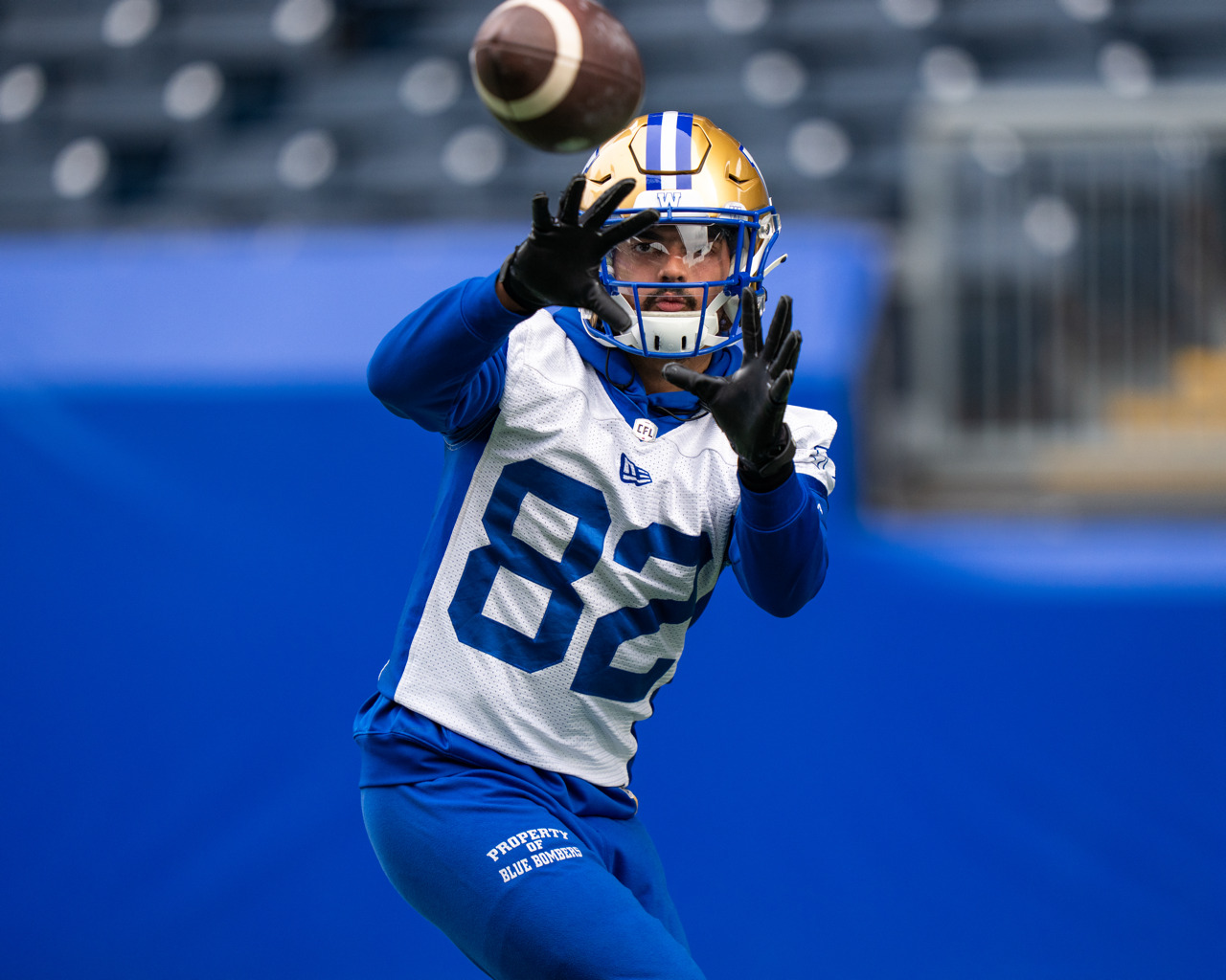 Blue Bombers re-sign receiver Gavin Cobb