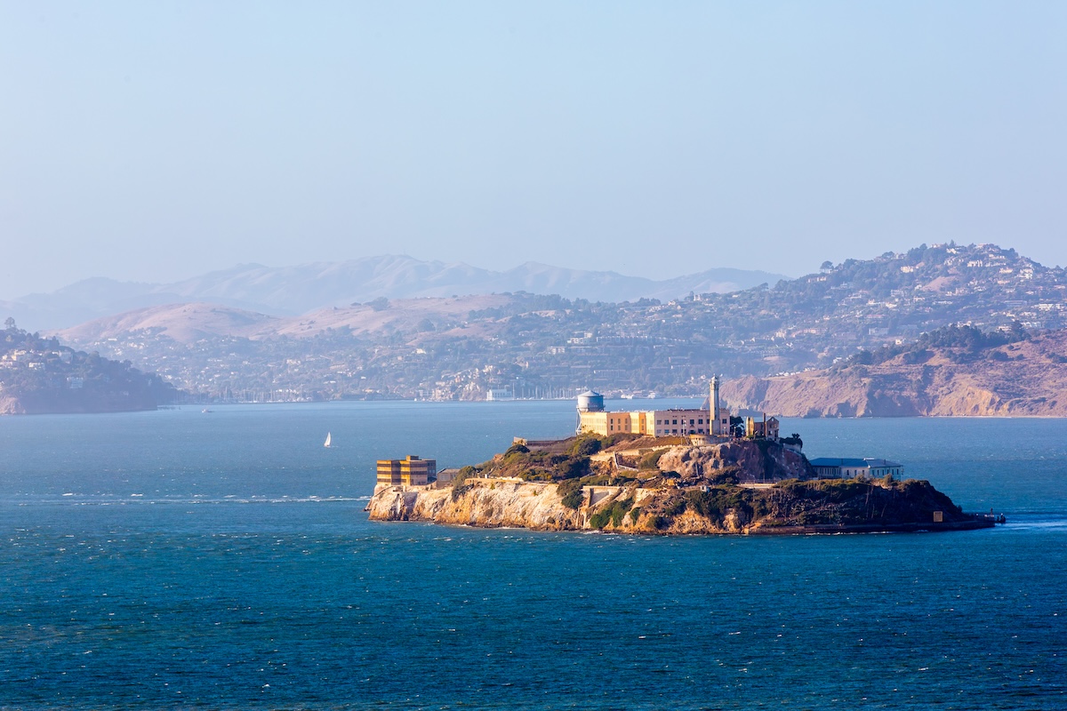 Coyote Swims All the Way to Alcatraz Island and Is Now 'Thriving'